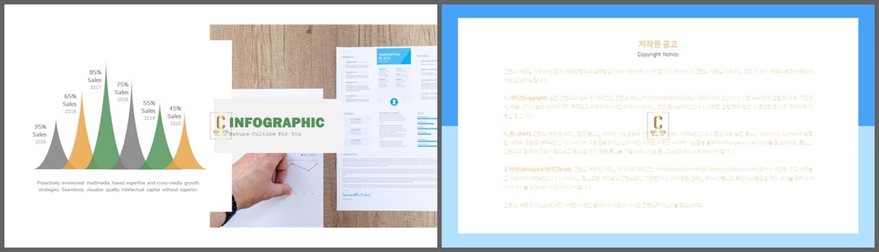 범위형 ppt 템플릿 고급 ppt 템플릿