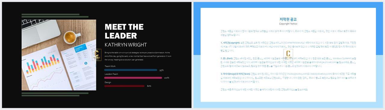 가로막대형 ppt 템플릿 발표용 ppt 양식