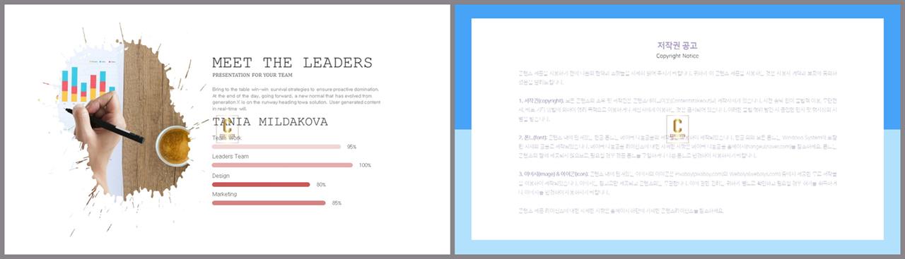가로막대형 ppt 템플릿 세련된 ppt 양식