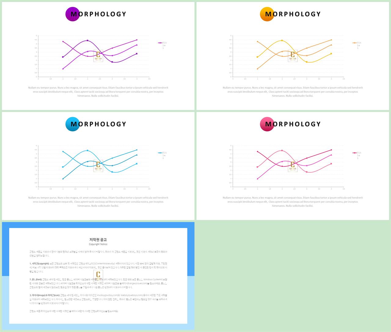 ppt 그래프 템플릿 심플한 발표자료 ppt 양식