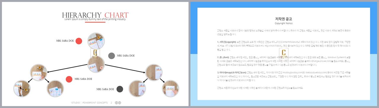 ppt 템플릿 조직도 ppt ppt 발표 양식