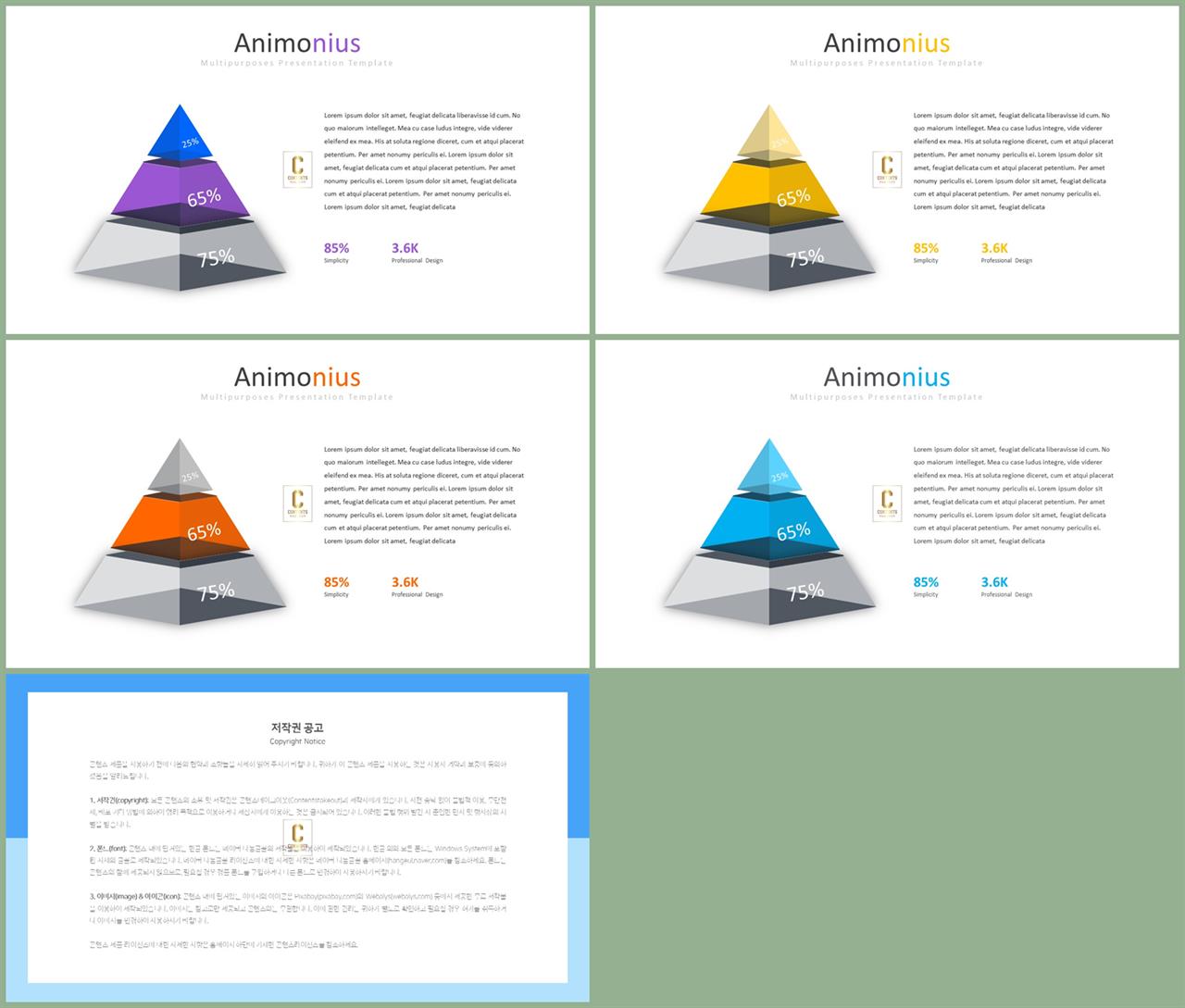 ppt 피라미드 템플릿 고급 ppt 테마