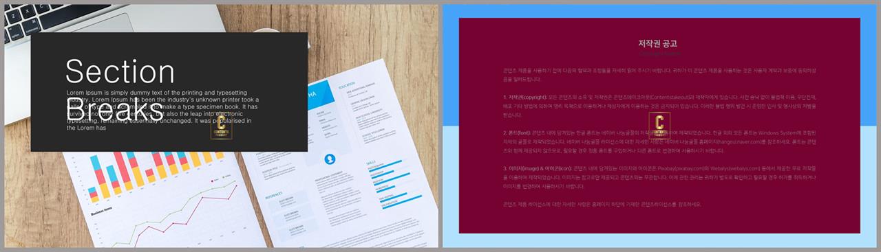종류설명 피피티 템플릿 고급스러운 ppt 배경