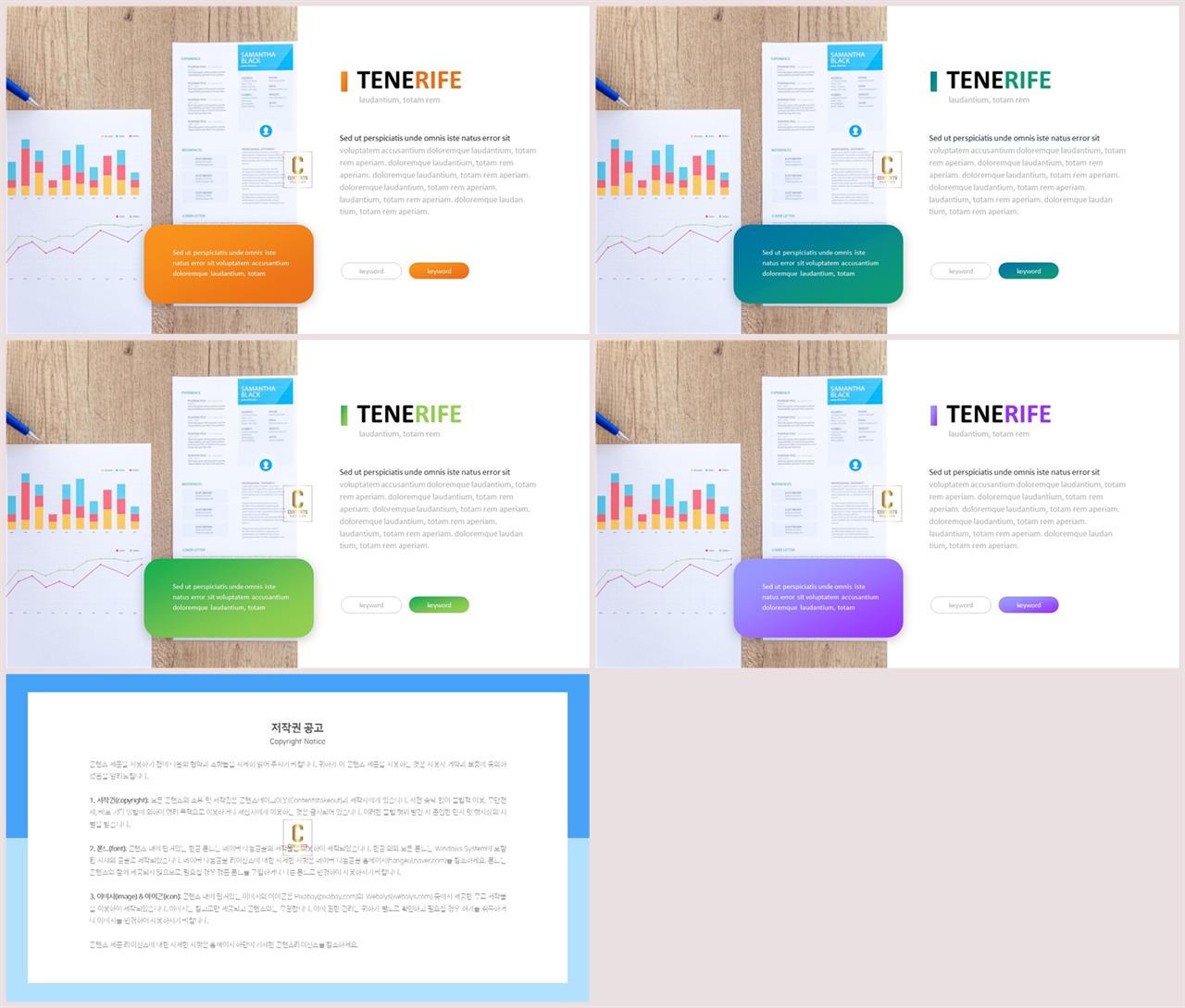 ppt 템플릿 설명 발표 ppt 샘플