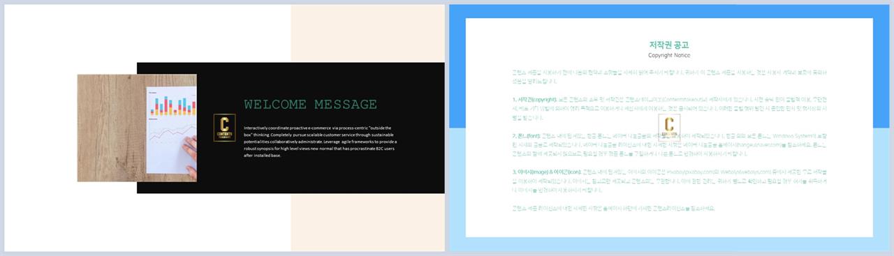 ppt 템플릿 사진 설명 깔끔한 ppt 템플릿 발표
