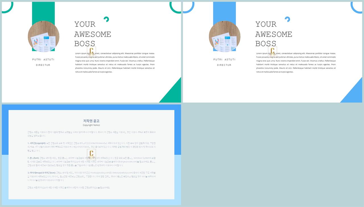 ppt 템플릿 설명 고급 스러운 ppt 템플릿