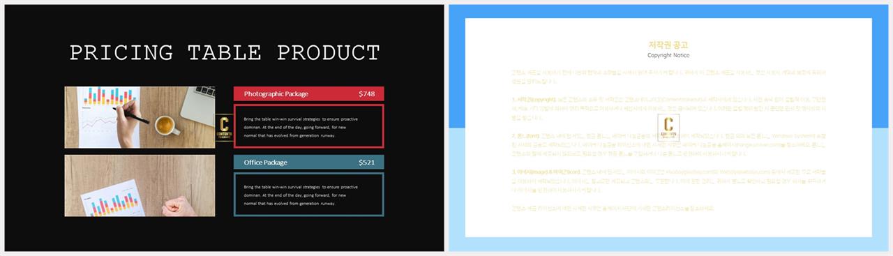 제품 설명 ppt 템플릿 발표 탬플릿 ppt