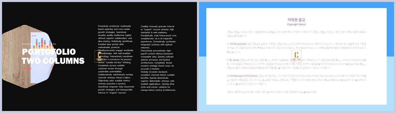 종류설명 피피티 템플릿 ppt 템플릿 발표용