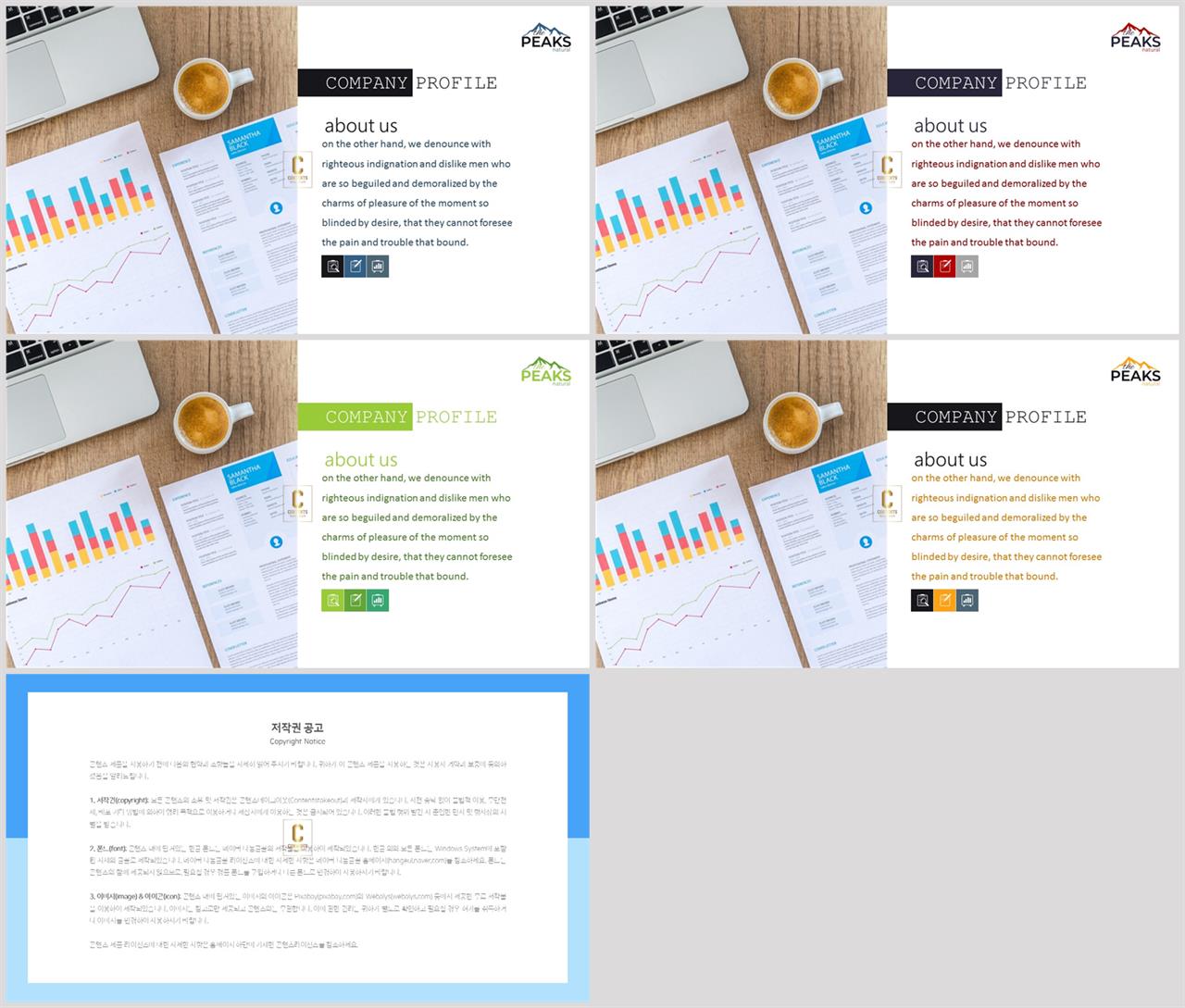 결산설명회 ppt 템플릿 ppt 발표 대본 양식