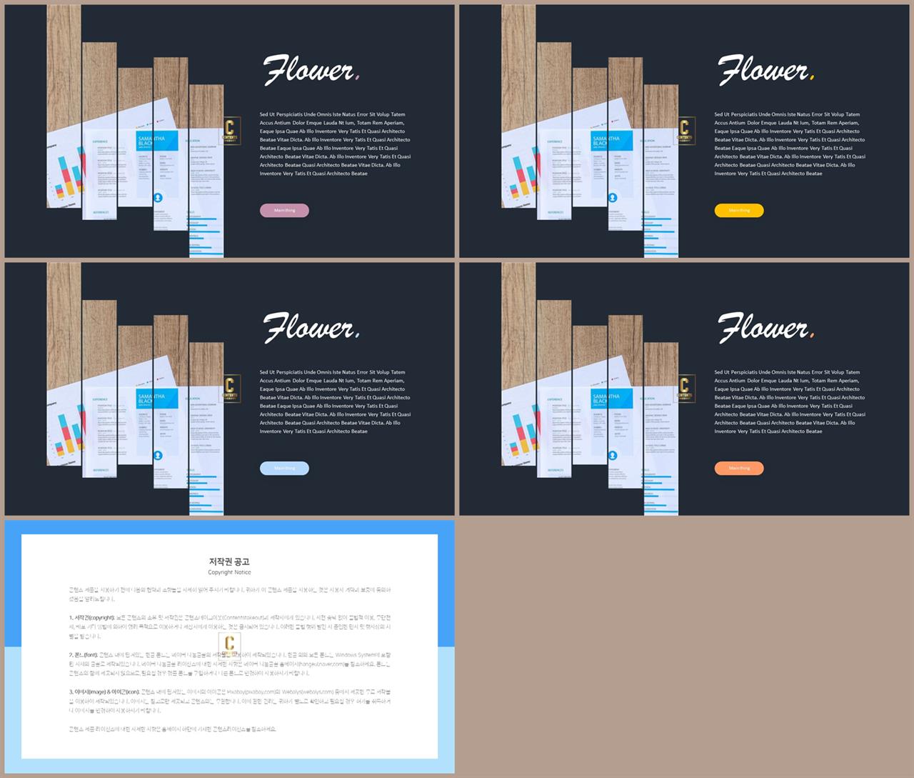종류설명 피피티 템플릿 멋진 ppt 템플릿