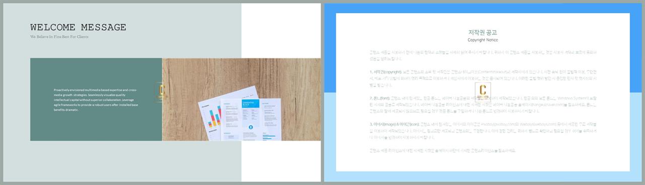 좌우분리형 ppt 레이아웃 배경 발표 ppt 샘플
