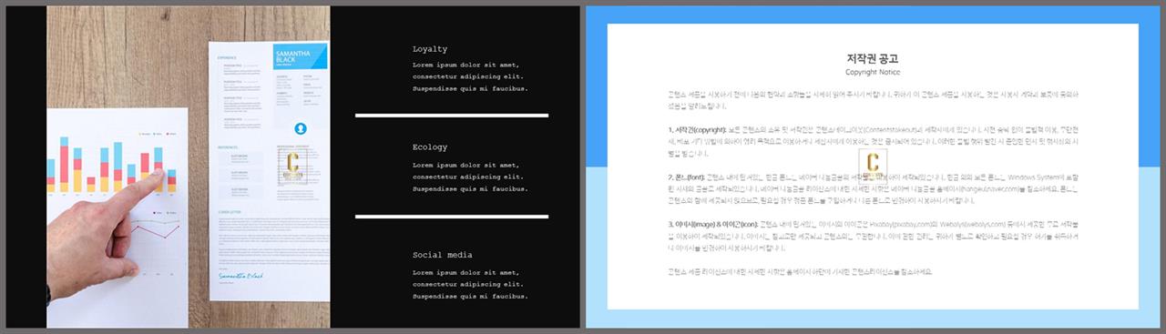 좌우분리형 ppt 레이아웃 배경 포스터 발표 양식 ppt