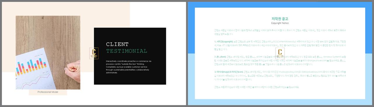좌우분리형 ppt 레이아웃 배경 발표 템플릿 ppt