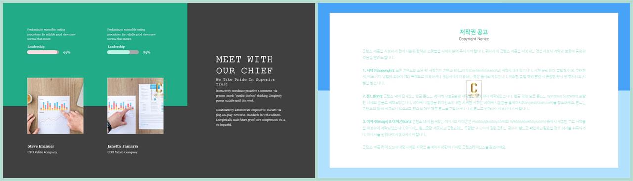 좌우형 ppt 레이아웃 샘플 ppt 발표 대본 양식