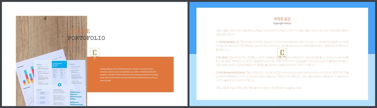 좌우형 ppt 레이아웃 샘플 ppt 세련된 템플릿