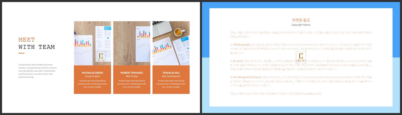 좌우형 ppt 레이아웃 샘플 세련된 ppt 양식