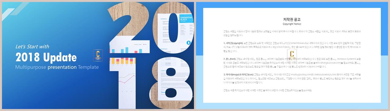 좌우형 ppt 레이아웃 샘플 ppt 발표 테마