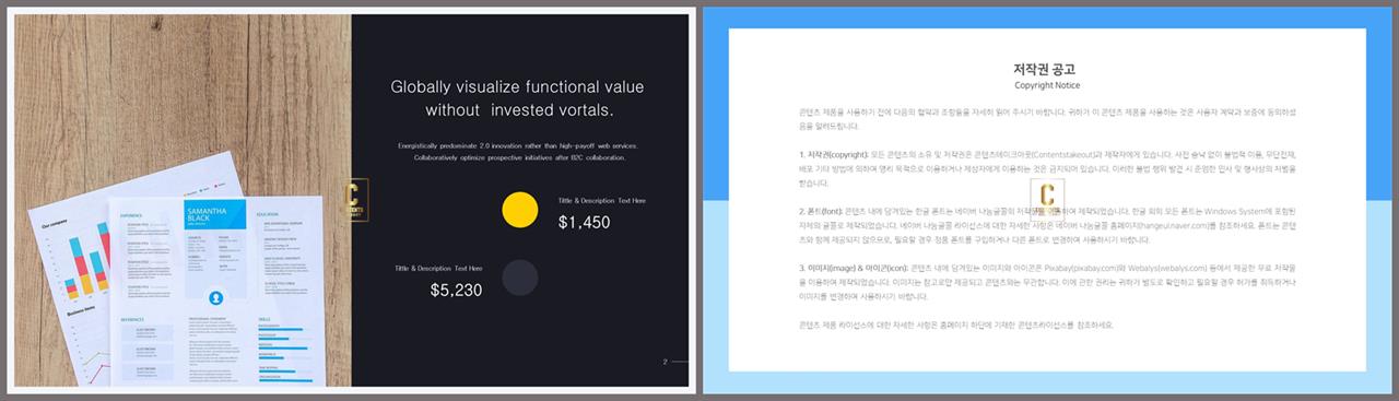 좌우형 ppt 레이아웃 샘플 고급 ppt 테마