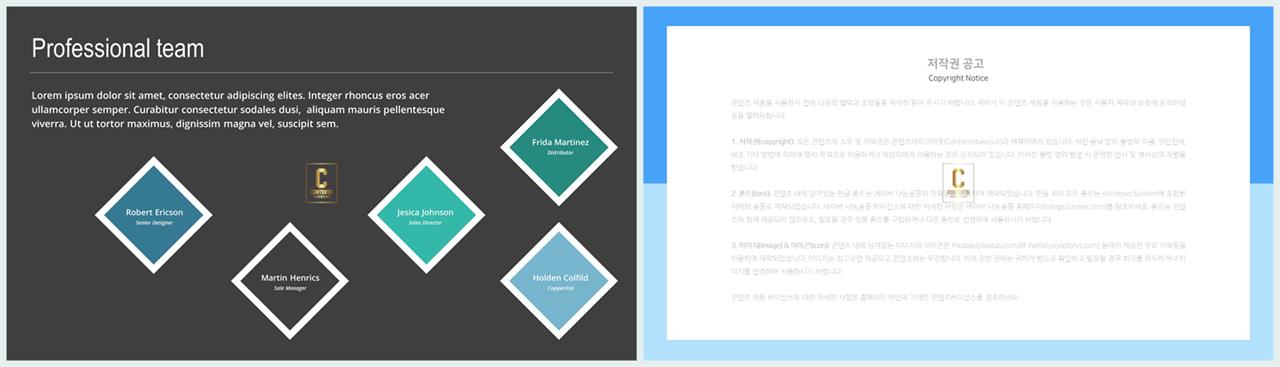 ppt 템플릿 하늘섹 ppt 발표 샘플