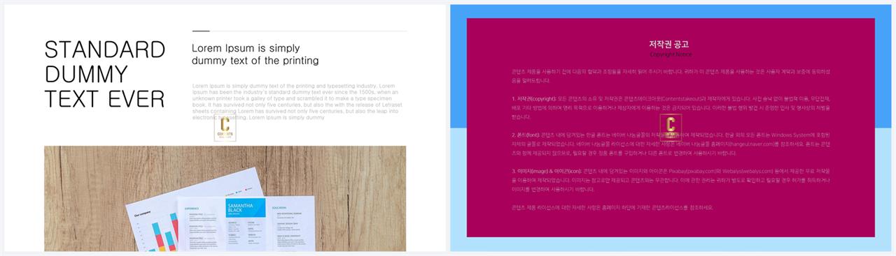ppt 회색조 배경 발표 피피티 템플릿
