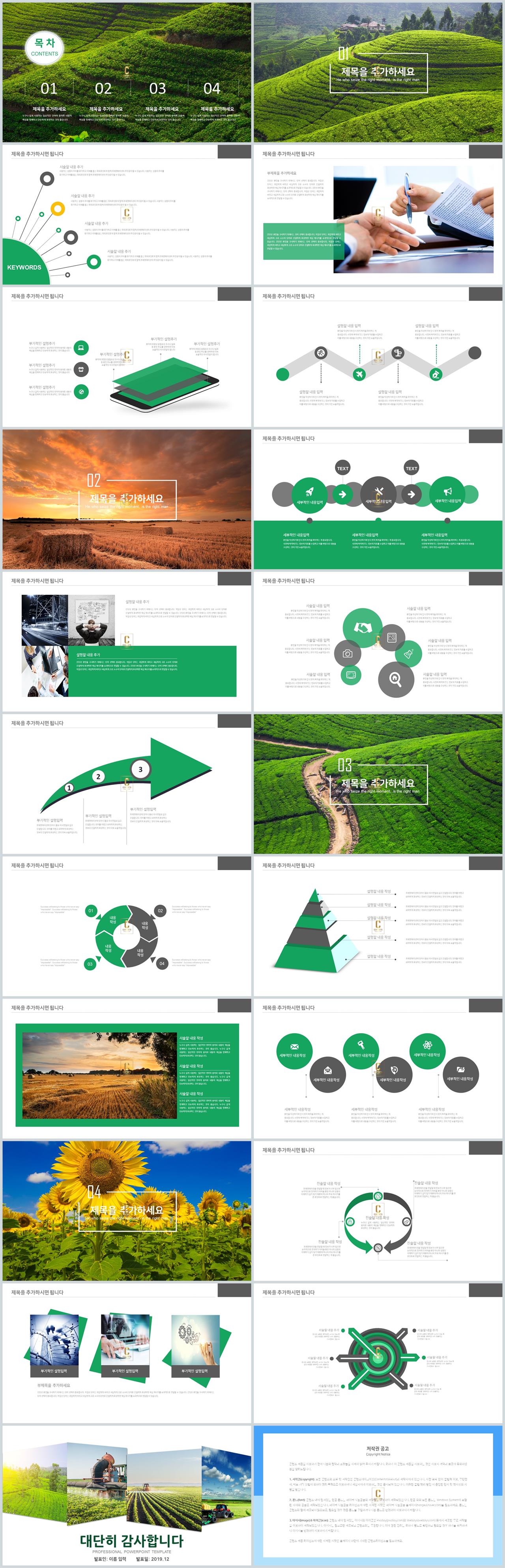 ppt 템플릿 음식 ppt 배경 초록색