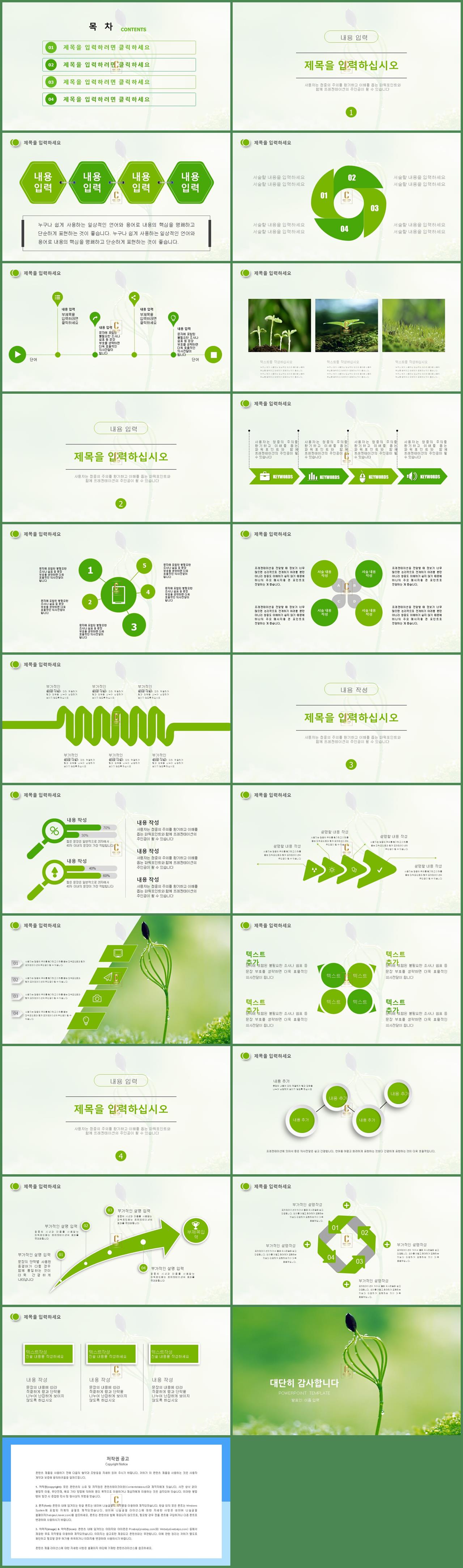 벚꽃 ppt 템플릿 초록바탕 피피티 템플릿