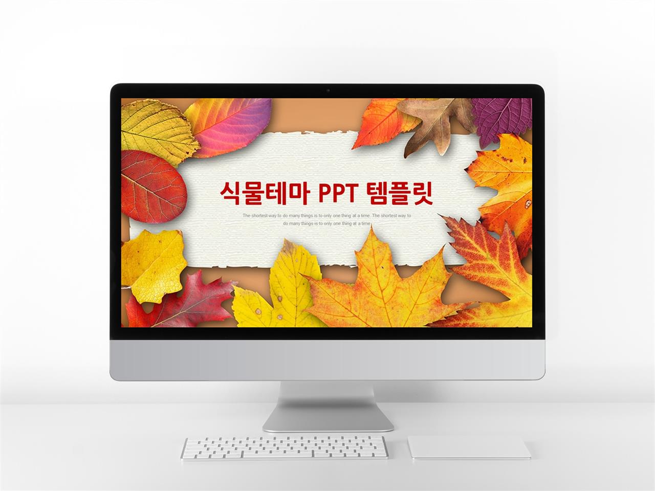 꽃 피피티 테마 물감 ppt 템플릿 모음