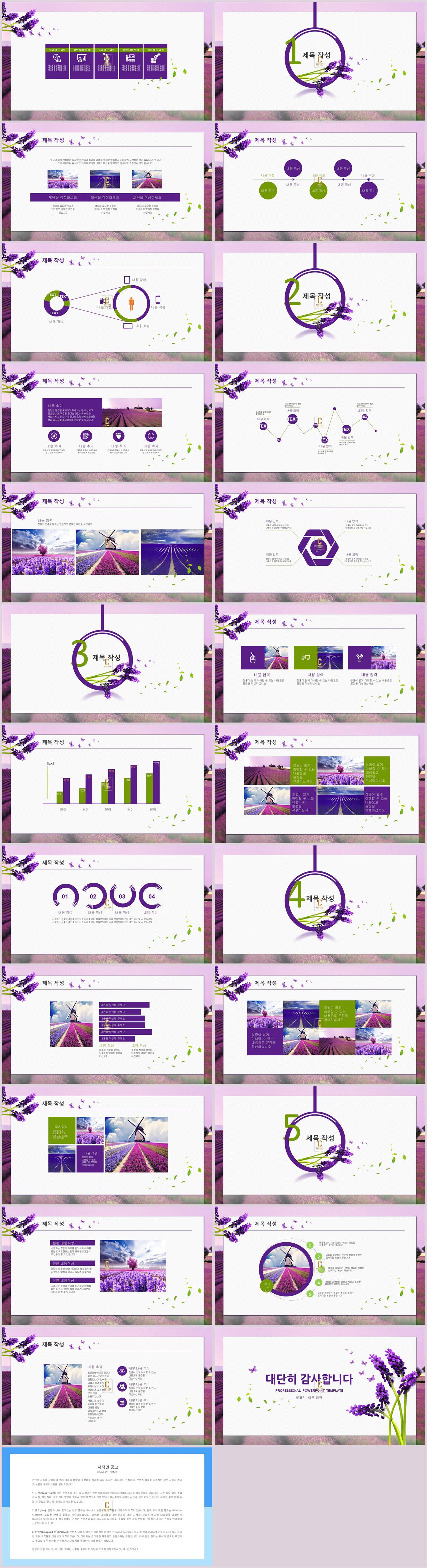 아기자기 한 ppt 템플릿 단색 ppt 템플릿 연보라