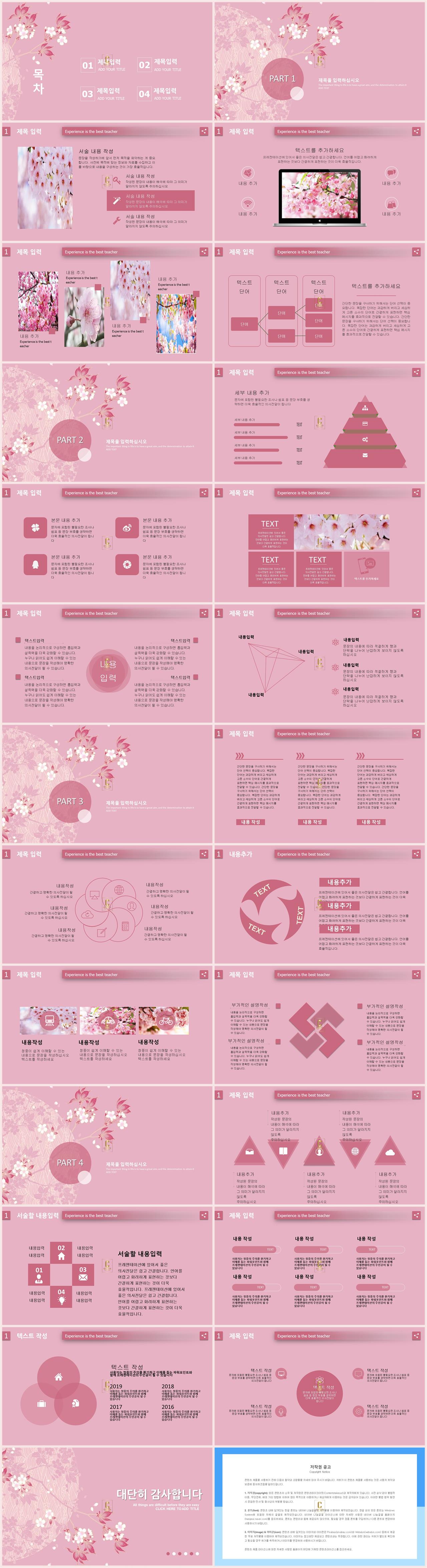 벚꽃 ppt 템플릿 다운로드 블랙핑크 ppt 템플릿