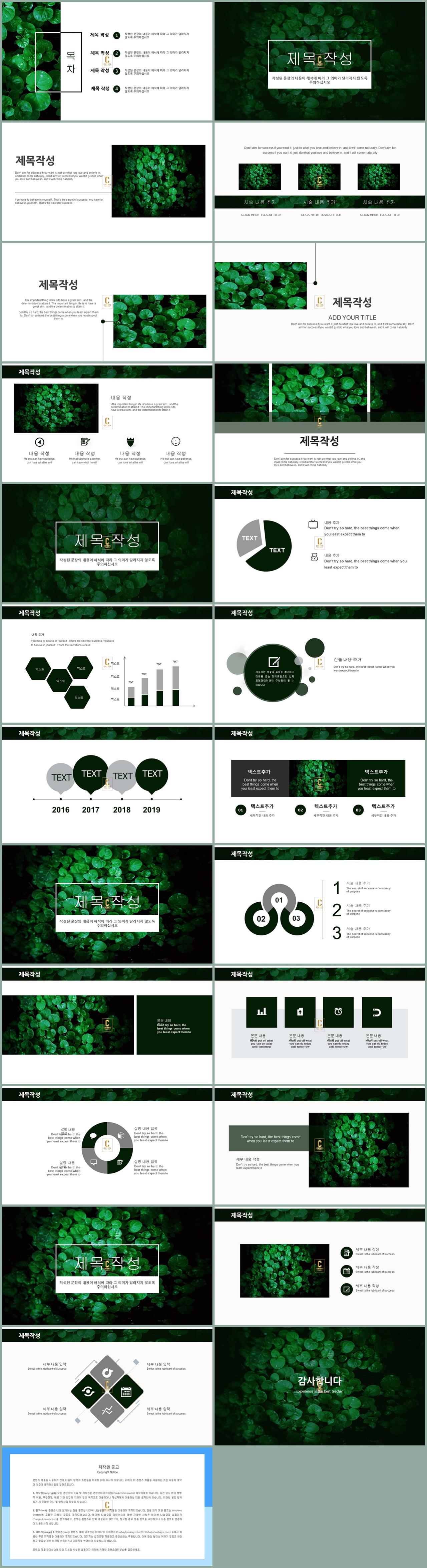 꽃 수채화 ppt 템플릿 ppt 초록 배경